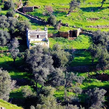 Aegean Panorama Σπίτι διακοπών Κιόνια