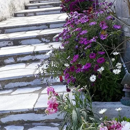 Aegean Panorama Κιόνια
